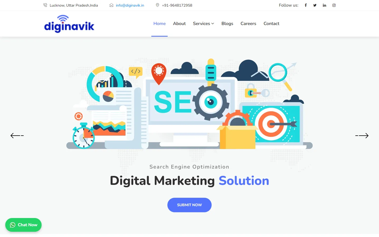 Diginavik website — IT & Digital Agency homepage preview